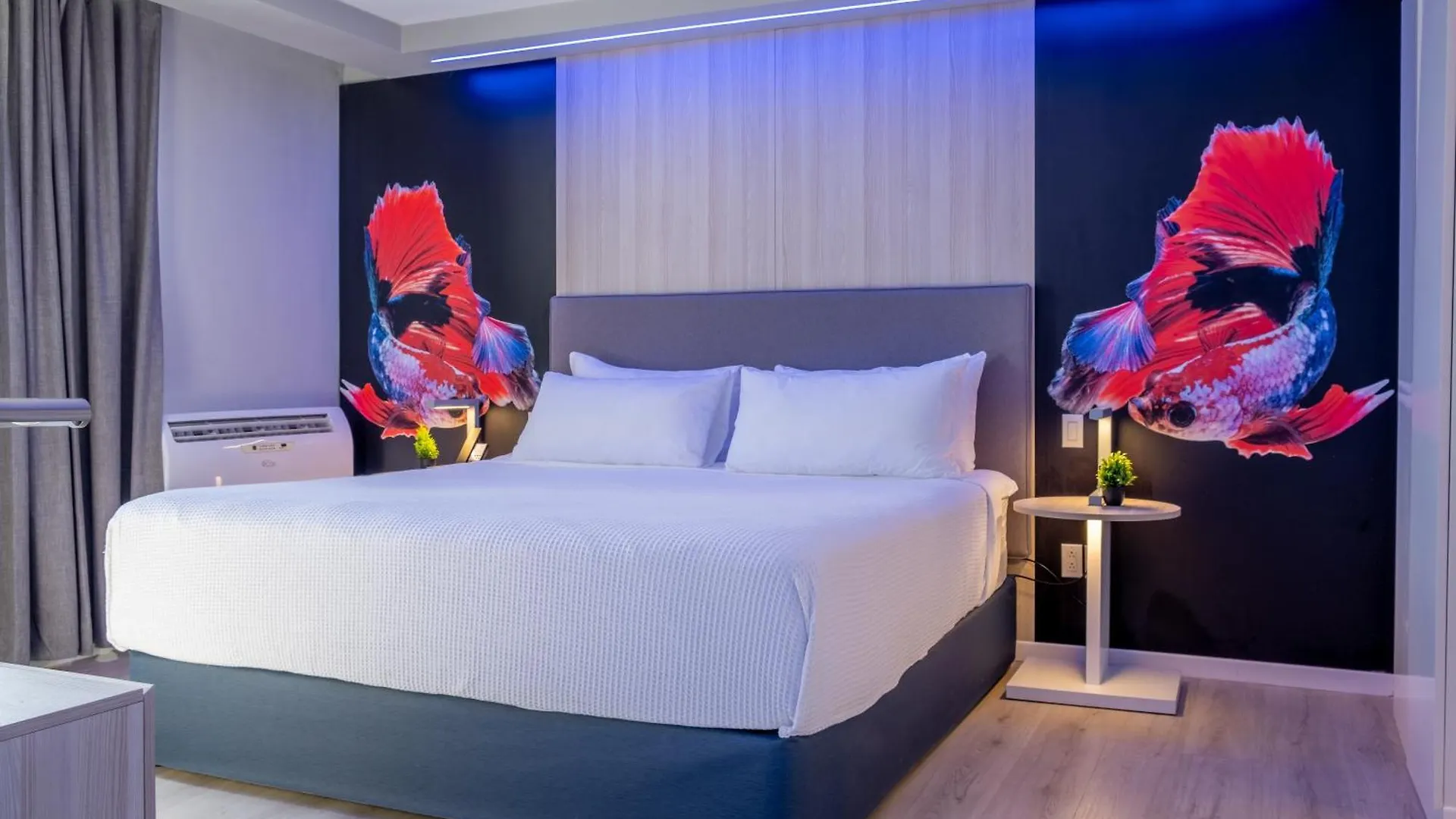 Отель Tryp By Wyndham Aruba (Adults Only) Палм Бич 3*,