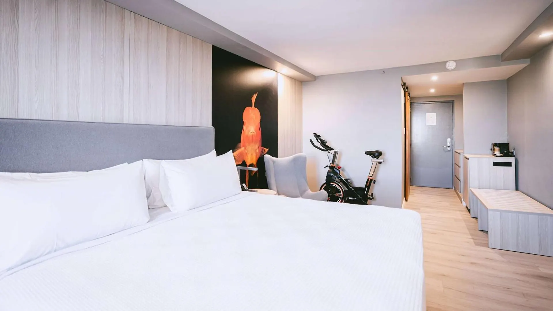 Tryp By Wyndham Aruba Adults Only Hotel Palm Beach