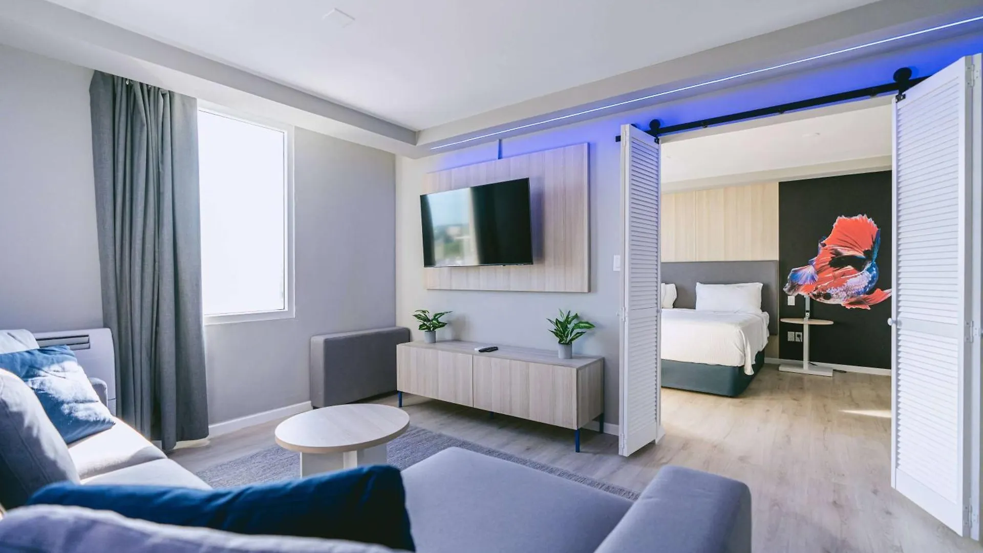 Tryp By Wyndham Aruba Adults Only Hotel Palm Beach