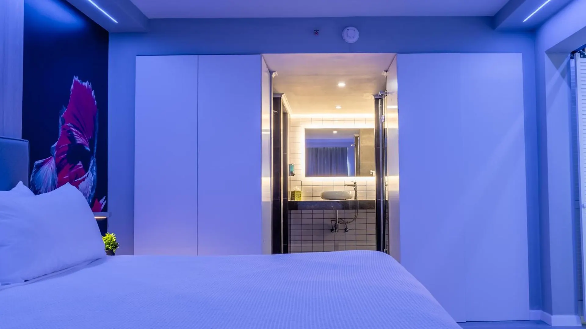 Tryp By Wyndham Aruba Adults Only Hotel Palm Beach