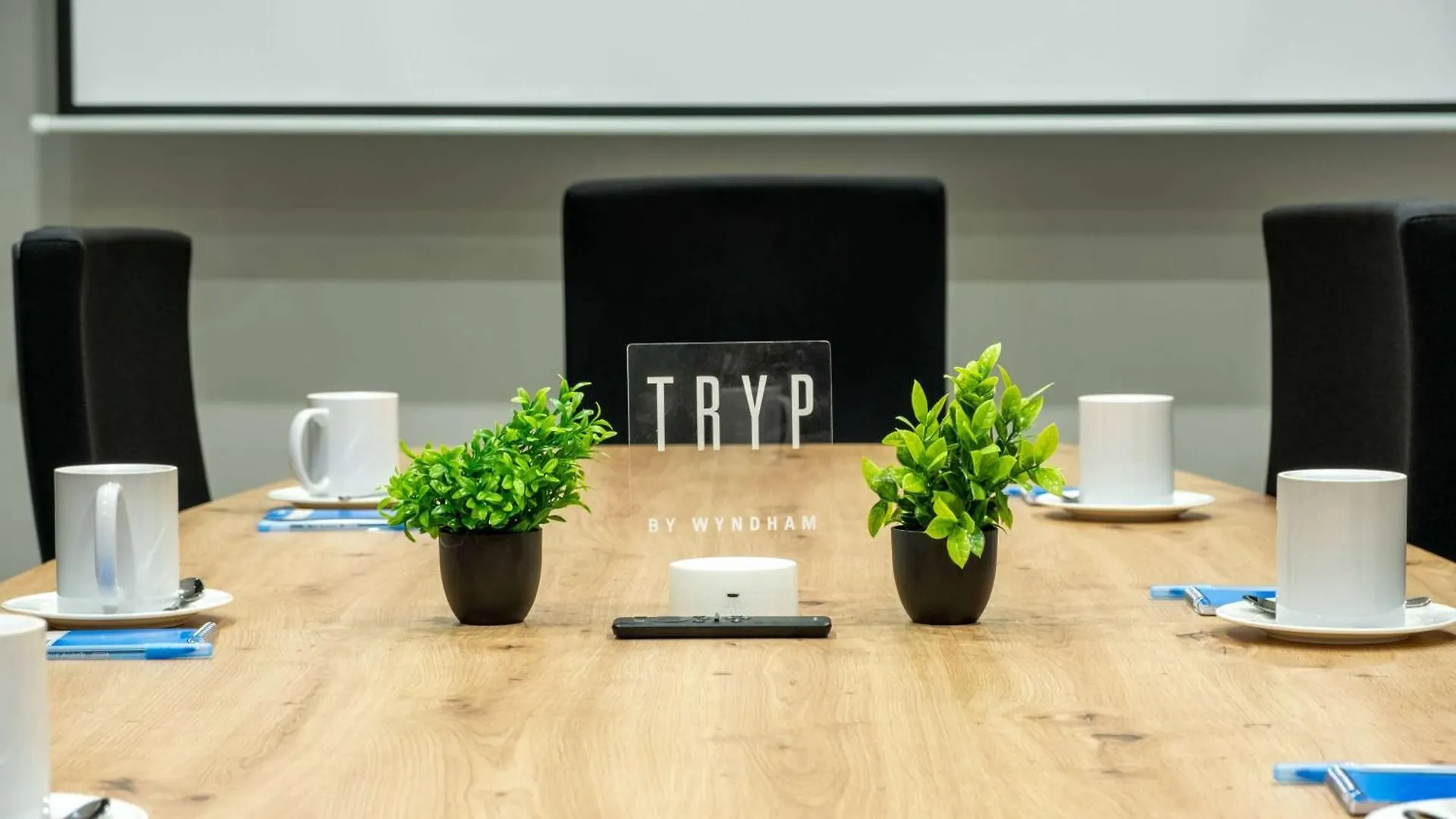 Tryp By Wyndham Aruba Adults Only Hotel Palm Beach