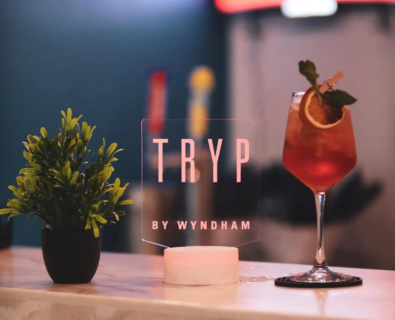 Tryp By Wyndham Aruba Adults Only Hotel Palm Beach Aruba