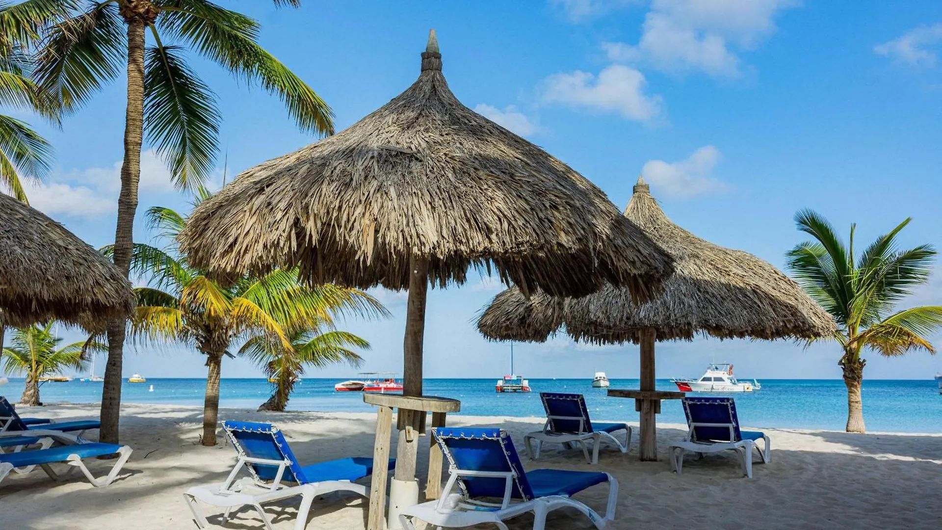 Tryp By Wyndham Aruba Adults Only Hotel Palm Beach