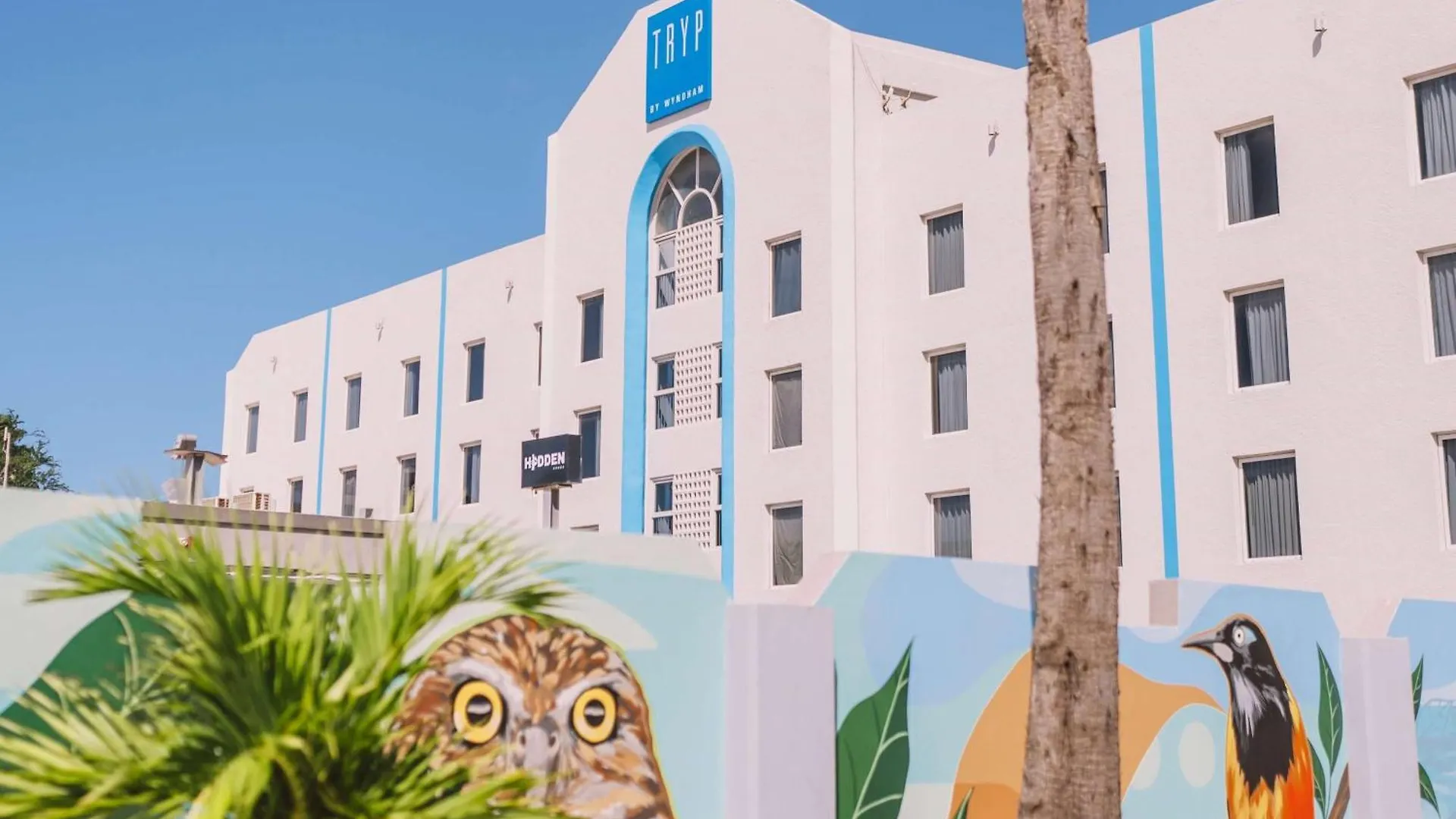 Hotel Tryp By Wyndham Aruba (Adults Only) Palm Beach